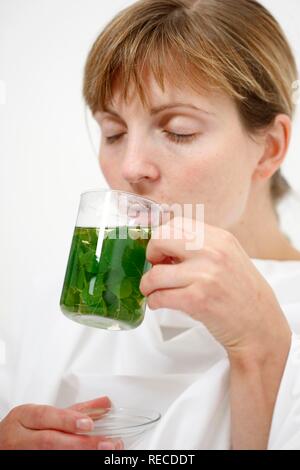 Eine junge Frau mit Halsschmerzen und eine kalte, mit einem Schal, trinken Minze Tee mit frischer Minze, beruhigenden Stockfoto