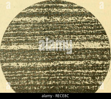 . Comptes Rendus hebdomadaires des séancen de l'Académie des sciences. Wissenschaft - Gesellschaften, etc.; Wissenschaft; Wissenschaft. ii"^^ Ich^ wrrt ^^ zum Bild. 4 - - Tta (iue au Cuivre. Gr. = lo. Fie. ttaque au cuivie. Gr. - 70, de l'Beispiel {Abb. 4 et 5). Auf voit que l'écartement de ces Bandes en vraie Grandeur est Voisin de o™'." Ich. Bitte beachten Sie, dass diese Bilder sind von der gescannten Seite Bilder, die digital für die Lesbarkeit verbessert haben mögen - Färbung und Aussehen dieser Abbildungen können nicht perfekt dem Original ähneln. extrahiert. Académie des Sciences (Frankreich); Centre national de la rec Stockfoto