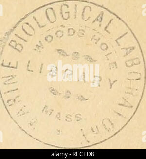 . Comptes Rendus hebdomadaires des séancen de l'Académie des sciences. Wissenschaft - Gesellschaften, etc.; Wissenschaft; Wissenschaft. . Bitte beachten Sie, dass diese Bilder sind von der gescannten Seite Bilder, die digital für die Lesbarkeit verbessert haben mögen - Färbung und Aussehen dieser Abbildungen können nicht perfekt dem Original ähneln. extrahiert. Académie des Sciences (Frankreich); Centre national de la recherche scientifique (Frankreich). Paris: publiés avec Le concours du Centre national de la recherche scientifique par MM.les secrétaires perpétuels: Gauthier-Villars Stockfoto