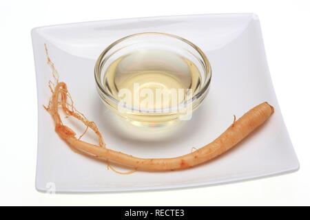 Ginseng Wurzel, Panax Ginseng Stockfoto