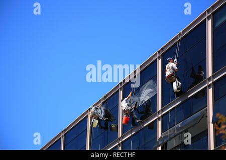 Fensterreiniger auf einem Hochhaus in Buenos Aires, Argentinien, Südamerika Stockfoto