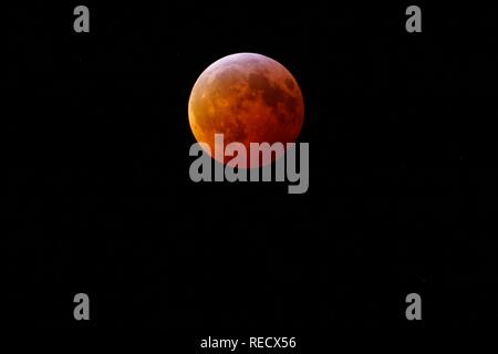 Blick auf den Super Blut Wolf Mond Mondfinsternis vom 20. Januar 2019 aus New Jersey, USA Stockfoto