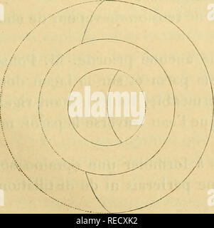 . Comptes Rendus hebdomadaires des séancen de l'Académie des sciences. Wissenschaft - Gesellschaften, etc.; Wissenschaft; Wissenschaft. Abb. 4 - Abb. 5.. Bitte beachten Sie, dass diese Bilder sind von der gescannten Seite Bilder, die digital für die Lesbarkeit verbessert haben mögen - Färbung und Aussehen dieser Abbildungen können nicht perfekt dem Original ähneln. extrahiert. Académie des Sciences (Frankreich); Centre national de la recherche scientifique (Frankreich). Paris: publiés avec Le concours du Centre national de la recherche scientifique par MM.les secrétaires perpétuels: Gauthier-Villars Stockfoto