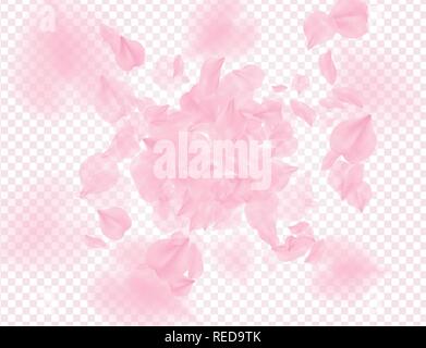 Rosa Rosen Blütenblätter fallen auf transparentem Hintergrund. Vektor overlay Valentines Hintergrund. Sakura Blumen 3D-romantische Darstellung. Frühjahr zartes Licht Stock Vektor