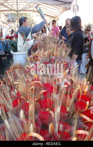 Kaufen Rosen der Tag des Sant Jordi auf der Ramblas de Girona, Katalonien, Spanien Stockfoto