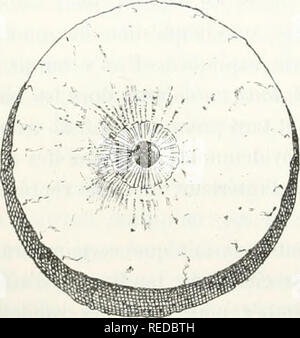 . Compte Rendu. Wissenschaft; Wissenschaft - Kongresse. (530 ANTHROPOLOGIE Il mich paraÃ® t Ã © vident d'ailleurs que de pareilles devaient reliques Ne Pas Ãªtre * prÃ©cieuses pour les hommes de cette Ã©poque tant que d'autres reliques portÃ©es depuis lors, et je comprends trÃ¨s-bien qu'on Les ai tachÃ¢ t par un Lien suspenseur. Beaucoup de peuples Sauvages regardent Encore aujourd'hui Les fous Comme Les amis de Dieux, et nos paysans vÃ©nÃ¨mieten les Idioten Comme des Unschuldigen (auf leur Donne ce Nom) prÃ©-destinÃ©s Ã l'Ã©ternel Bonheur. Toute l'antiquitÃ© Classique regardait l'Ã©piâ lepsie comme une Mala Stockfoto