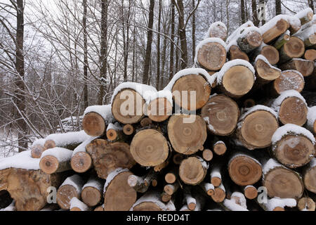Stapel von Protokollen in einer Schicht aus frischen weißen Schnee in der Nähe zu Ende auf konzeptionelle der Wintersaison und alternativer Brennstoff für die Heizung Stockfoto
