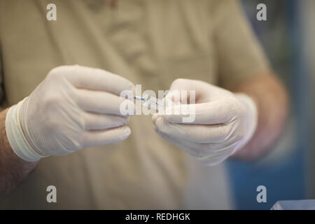 Zahnarzt Arzt Hände in schützende Latex Handschuhe mit einem speziellen zahnmedizinischen Werkzeug schließen Stockfoto