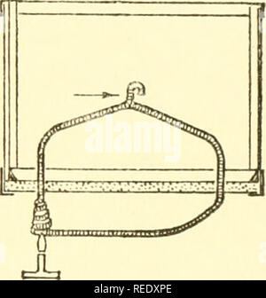 . Die komplette Aquarium Buch; die Pflege und Zucht von Goldfish und tropischen Fischen. Aquarien; Goldfische. Abb. 210. Abb. 211. Bitte beachten Sie, dass diese Bilder sind von der gescannten Seite Bilder, die digital für die Lesbarkeit verbessert haben mögen - Färbung und Aussehen dieser Abbildungen können nicht perfekt dem Original ähneln. extrahiert. Innes, William T. (William Thornton), 1874-1969. New York, Halcyon House Stockfoto