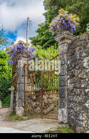 Alten Tor in der Nähe von Quinta da Regaleira mit Glyzinien Stockfoto