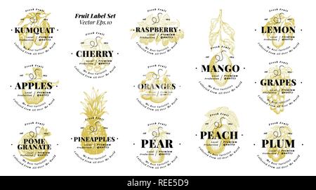 Beeren und Obst Etiketten eingestellt. Vintage Style Design. Handgezeichnete Vektorgrafiken. Vorlagen Preis tags für Geschäfte und Märkte von organischen vegetarisches Essen. Hand Natur Objekte gezeichnet. Stock Vektor