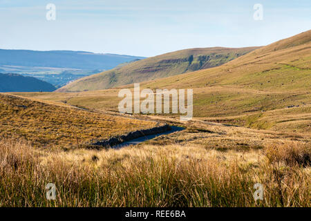 Landschaft in der Nähe von Fluss Tawe nr Glyntawe Pen-y-cae Brecon Beacons National Park Powys Wales Stockfoto