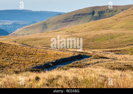 Landschaft in der Nähe von Fluss Tawe nr Glyntawe Pen-y-cae Brecon Beacons National Park Powys Wales Stockfoto