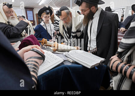 Ein Wochentag morgens Tora lesen in einem kleinen Tempel der Ohel in Monefiore Friedhof, Cambria Heights, Queens, New York City. Stockfoto