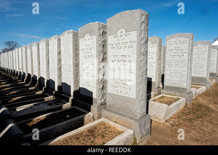 Reihen der Grabsteine mit hebräischen Schrift in Montefiore Friedhof in Cambria Heights, Queens, New York City. Stockfoto