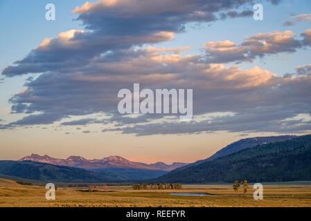 Lamar Valley und die Absaroka Berge, Yellowstone-Nationalpark, Wyoming. Stockfoto