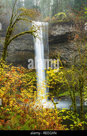 Süden fällt, Silver Falls State Park, Oregon. Stockfoto