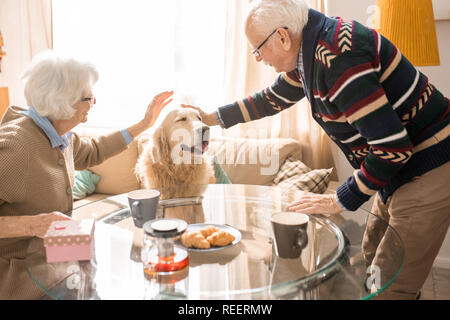 Portrait von glücklicher Hund genießen reibt Sitzen am Tisch mit Senior Paar zu Hause Stockfoto
