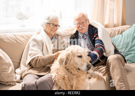 Portrait von Happy senior Paar mit Hund auf der Couch sitzen zusammen, beleuchtet durch sunlightPortrait von Happy senior Paar umarmen Hund sitzt auf der Couch Stockfoto