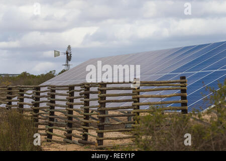 Solarzellen, Photovoltaik, in langen Bank in der Natur das Sonnenlicht in Energie für grünes Leben in Südafrika mit Wind Pumpe hinter konvertieren Stockfoto