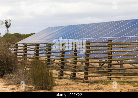 Solarzellen, Photovoltaik, in langen Bank in der Natur das Sonnenlicht in Energie für grünes Leben in Südafrika mit Wind Pumpe hinter konvertieren Stockfoto