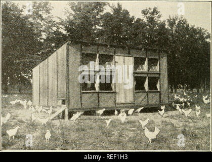 . Kommerzielle Geflügel Heben; ein durch und durch praktisches und komplettes Nachschlagewerk für den laienhaften, Ausgefalleneren oder allgemeine Landwirt, speziell angepasst an die kommerziellen poultryman. Geflügel. 158 kommerzielle Geflügel Heben nach innen Ende, das die Leiste "D", und die Tür fliegt auf. Dies kann überraschen die Vögel auf den ersten, aber Sie bald ac - Es Customed. In der Tat, Sie wirklich lernen, es zu betreiben, wie Sie lernen, eine automatische Zuführung zu betreiben. Daher hat Herr Poultryman, können Sie Ihre NAP in Ruhe; Biddy dieser frühen - steigende Arbeit tun. Es wäre nicht praktikabel erweisen, Th machen Stockfoto