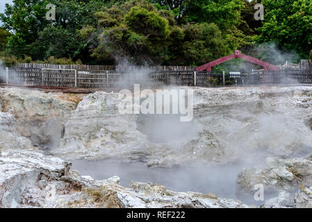 Hells Gate, Neuseeland - 1. März 2018. Nebelschwaden Dampf stieg von geothermischen Pools in "Hell's Gate". Stockfoto