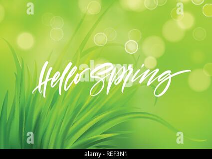 Frash Spring Green Gras Hintergrund mit Handschrift Schriftzug. Vector Illustration Stock Vektor