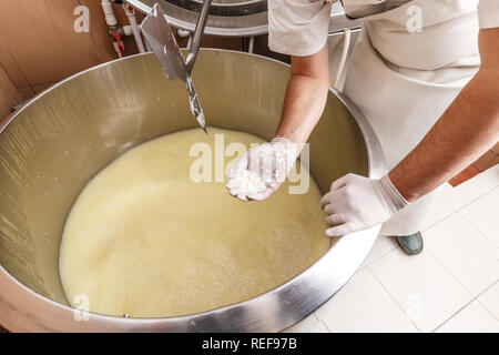 Die Produktion von frischem Käse in der Molkerei Stockfoto