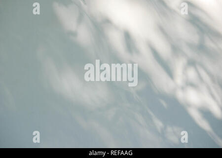 Schwarz und Weiß abstrakt Hintergrund textuer der Schatten Lamelle auf einer Betonwand Stockfoto