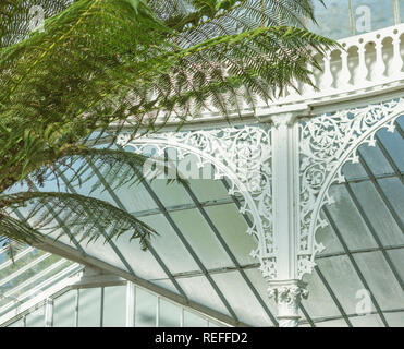 Atemberaubende viktorianische Green House in Glasgow Botanic Gardens Stockfoto