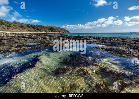 Schloss Strand; Falmouth; Rock Pools, Cornwall, UK Stockfoto