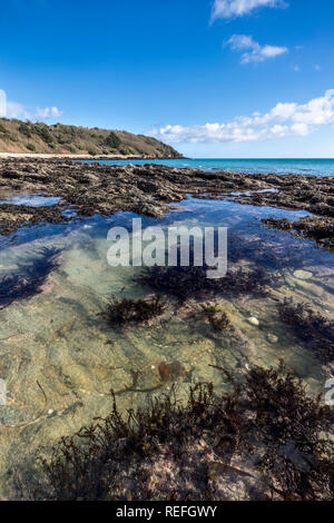 Schloss Strand; Rock Pools, Falmouth, Cornwall, UK Stockfoto