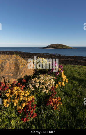 Hannafore Punkt; auf der Suche nach St Georges Insel; Looe, Cornwall, Großbritannien Stockfoto