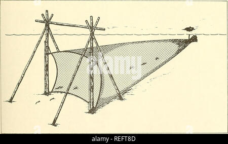 . Die kommerzielle Fischerei. Fischerei Fischhandel. 41. weisen darauf hin, dass dieser hohe Catch Rate mit laichen Konzentrationen zugeordnet ist. Es gibt Grund zu der Annahme, dass die Pres-ent Verwendung von Meer Bob in der Guianas ist nur ein Bruchteil der möglichen. Ein Hersteller in Cayenne vorgeschlagen wird, dass die Lieferung von nahe gelegenen Gewässern wahrscheinlich liefern könnten, ohne allzu große Schwierigkeiten, über 10 Tonnen pro Tag Garnelen. Die heutige Fischerei ist vergleichsweise Primitiv. Es hängt von Sta-revolutionären (Set) das Fanggerät. Es ist von den saisonalen Bedingungen, eine Fülle von Garnelen im Munde der Flussmündungen, wo t Gunsten eingeschränkt Stockfoto