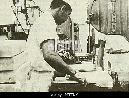 . Die kommerzielle Fischerei. Fischerei Fischhandel. Abb. 2-FPC.. Abb. 3-Frozen fish Blocks. Von vielen Arten. FPC" ist zu einem wichtigen Markt in naher Zukunft fer erwartet." Das Haustier foodindustry ein weiterer großer Markt für Fisch bietet. Der Bericht betont: "Unsere Fische - ermen können diese Märkte erreichen Sie nur, wenn Sie Rohstoffe zu einem Preis im Wettbewerb mit anderen Anbietern von Anlagen- und ani-mals Protein liefern." Die Fischwirtschaft hat andere Chancen. Es können die catchof viele high-er-Preise Art: Bestimmte, Krabben, Muscheln, und nördlichen Garnelen. Von Druckernamen Stockfoto