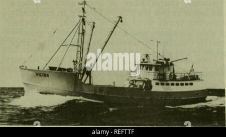 . Die kommerzielle Fischerei. Fischerei Fischhandel. 47. Abb. 2 - New Bedford scalloper wurde 1966 erbaut. Diese Schiffe geniessen Sie hohen Prüfungs- und reduzierte Versicherungsprämien. Alle diese Schiffe sind mittelständische Otter Trawler oder jakobsmuscheln Schwimmbagger angeln die gleichen Bereiche unter ähnlichen Bedingungen während des ganzen Jahres. Die größere Variante ist das Alter. Verletzungen von Schutz und Entschädigung (Haftung) - Alter für Ansprüche aus Verletzung von Besatzungsmitgliedern wird immer teurer für den Betreiber des Schiffs. Anspruch Auszeichnungen im Neu-England Bereich haben stark zugenommen, mit entsprechend höheren Pre Stockfoto