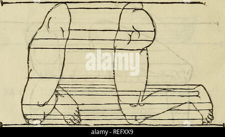 . Varia commensuracion para la Escultura y Arquitectura. Anteil (Kunst); geometrische Zeichnung; Anatomie, Künstlerische; Tiere; Architektur. SEGUNDO. S NECESARIO para seguir la Escultur ra debidamente, Sabre Todas las cosas que se Han mostra - tun; porque faltando algu-E ist 6 LIBRO £, wenn c/i; o Quanto aqid queda dicho es conveniente na de¡apara que esté bien elArtifice diestro', pÍ fe "-"^^^^*^ Kuh una cosa se Contente ^> "S'si quisiere llegar á ser Maestro:, Mas beschaffen tener Bien en la mente Todas las Varias cosas que Aqui muestro^ na, será Siempre mendosa en con¡als que por esenciale mostraré Stockfoto