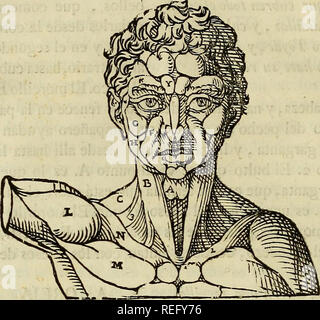 . Varia commensuracion para la Escultura y Arquitectura. Anteil (Kunst); geometrische Zeichnung; Anatomie, Künstlerische; Tiere; Architektur. 144 LIBRO SEGUNDO.. Bitte beachten Sie, dass diese Bilder sind von der gescannten Seite Bilder, die digital für die Lesbarkeit verbessert haben mögen - Färbung und Aussehen dieser Abbildungen können nicht perfekt dem Original ähneln. extrahiert. Arfe y Villafañe, Juan de, 1535-1603; Veigy-foncenex, Pedro, d. 1735; Escribano, Miguel. Madrid: En la Imprenta de Angosta Miguél Escribano, Calle de San Bernardo Stockfoto