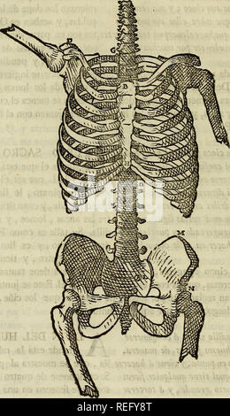 . Varia commensuracion para la Escultura y Arquitectura. Anteil (Kunst); geometrische Zeichnung; Anatomie, Künstlerische; Tiere; Architektur. 126 LIBRO SEGUNDO,. . OSJiüSí £ -1. Bitte beachten Sie, dass diese Bilder sind von der gescannten Seite Bilder, die digital für die Lesbarkeit verbessert haben mögen - Färbung und Aussehen dieser Abbildungen können nicht perfekt dem Original ähneln. extrahiert. Arfe y Villafañe, Juan de, 1535-1603; Veigy-foncenex, Pedro, d. 1735; Escribano, Miguel. Madrid: En la Imprenta de Angosta Miguél Escribano, Calle de San Bernardo Stockfoto