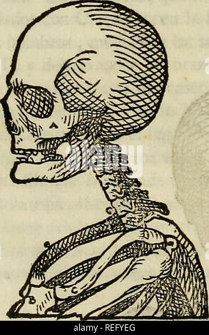 . Varia commensuracion para la Escultura y Arquitectura. Anteil (Kunst); geometrische Zeichnung; Anatomie, Künstlerische; Tiere; Architektur. "IHrj fj'^i;'> ií'' v;.')" íosn í q oinoo Ee ^ Abl. Bitte beachten Sie, dass diese Bilder sind von der gescannten Seite Bilder, die digital für die Lesbarkeit verbessert haben mögen - Färbung und Aussehen dieser Abbildungen können nicht perfekt dem Original ähneln. extrahiert. Arfe y Villafañe, Juan de, 1535-1603; Veigy-foncenex, Pedro, d. 1735; Escribano, Miguel. Madrid: En la Imprenta de Angosta Miguél Escribano, Calle de San Bernardo Stockfoto