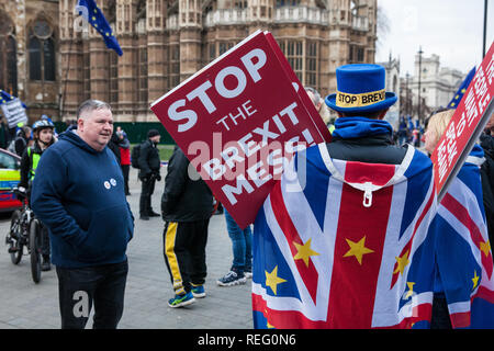 London, Großbritannien. 21. Januar, 2019. Anhänger der Gelben Westen UK konfrontieren Steve Bray von sodem (Stand der Missachtung der Europäischen Bewegung) während eines Protestes außerhalb der Häuser des Parlaments, Kredit: Mark Kerrison/Alamy leben Nachrichten Stockfoto