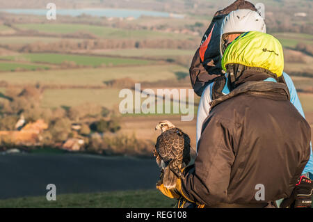 Bo-Peep, Alciston, Lewes, Sussex, Großbritannien. Januar 2019. Der prächtige Falcon 'Safire' mit Blick auf die Landschaft von Sussex, mit dem Besitzer Tiger Cox und Piloten Boris Tyszko, der auch von Safire in der Luft beigesetzt wurde. Stockfoto