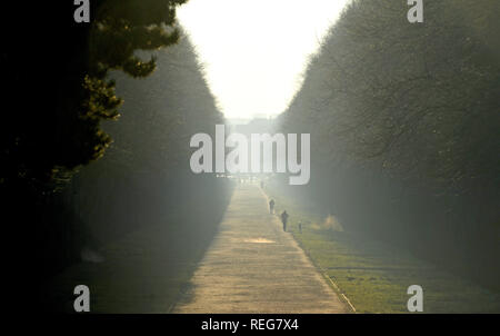 Hannover, Deutschland. 22 Jan, 2019. In der winterlichen Morgensonne mit Temperaturen um Minus vier Grad, Wanderer Spaziergang durch die Lindenallee im Georgengarten in der Nähe des Großen Garten in Hannover-Herrenhausen. Quelle: Holger Hollemann/dpa/Alamy leben Nachrichten Stockfoto