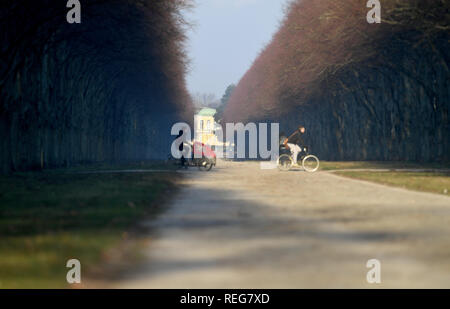 Hannover, Deutschland. 22 Jan, 2019. In der winterlichen Morgensonne mit Temperaturen um Minus vier Grad Radfahrer die Lindenallee Kreuz im Georgengarten in der Nähe des Großen Gartens in Hannover-Herrenhausen. Quelle: Holger Hollemann/dpa/Alamy leben Nachrichten Stockfoto