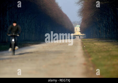 Hannover, Deutschland. 22 Jan, 2019. In der winterlichen Morgensonne mit Temperaturen um Minus vier Grad, Radfahrer und Wanderer sind auf dem Weg in die Lindenallee im Georgengarten in der Nähe des Großen Garten in Hannover-Herrenhausen. Quelle: Holger Hollemann/dpa/Alamy leben Nachrichten Stockfoto
