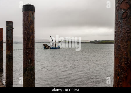 Bantry, West Cork, Irland. 22 Jan, 2019. Fischer abaord die Muschel Fischerboot "Blue Harvest" Land, den Fang von Muscheln an der Whiddy Island Ferry Slip in Bantry bei feuchter Witterung. Der Tag wird nass mit Temperaturen deutlich zurück bleiben heute Abend. Credit: Andy Gibson/Alamy Leben Nachrichten. Stockfoto