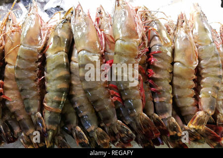 Qingdao, Qingdao, China. 22 Jan, 2019. Qingdao, China - Seafood Market in Qingdao, Osten ChinaÃ¢â'¬â"¢s der Provinz Shandong. Credit: SIPA Asien/ZUMA Draht/Alamy leben Nachrichten Stockfoto