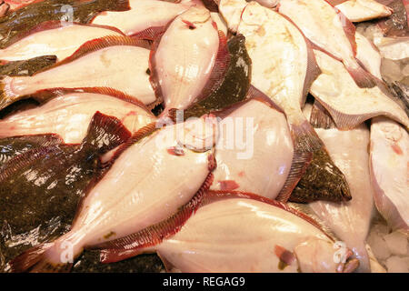 Qingdao, Qingdao, China. 22 Jan, 2019. Qingdao, China - Seafood Market in Qingdao, Osten ChinaÃ¢â'¬â"¢s der Provinz Shandong. Credit: SIPA Asien/ZUMA Draht/Alamy leben Nachrichten Stockfoto