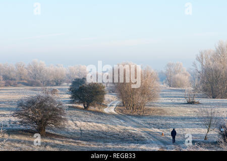 22 Januar 2019, Sachsen-Anhalt Pömmelte: ein Wanderer Spaziergänge am Morgen über den Elbauen, deren Vegetation mit Frost und Raureif bedeckt ist. Es wird kalt im Salzlandkreis in den nächsten Tagen bleiben. Niederschlag ist nicht bis zum Ende der Woche erwartet. Foto: Klaus-Dietmar Gabbert/dpa-Zentralbild/ZB Stockfoto